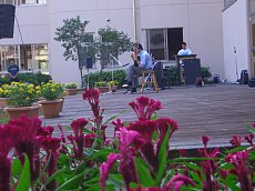Flower Garden Concert 1