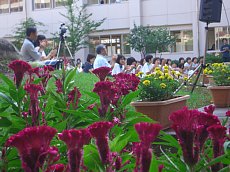 Flower Garden Concert 2